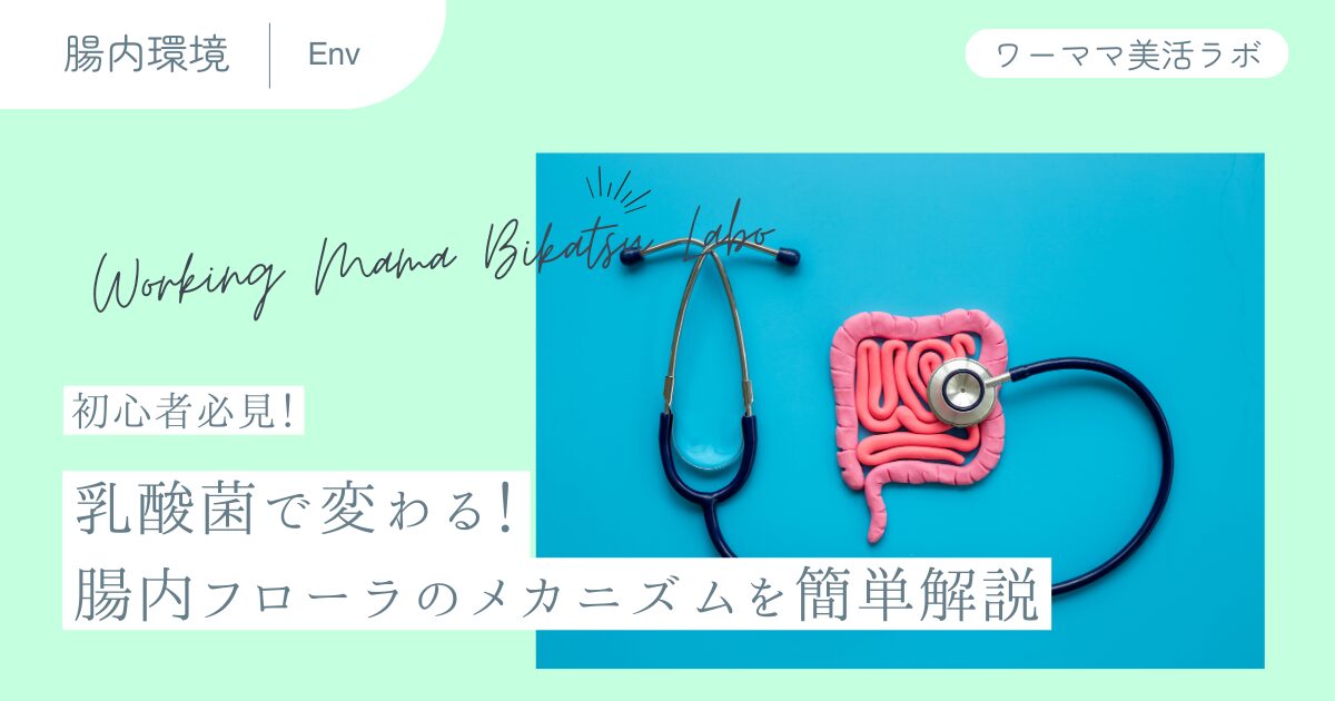 【初心者必見！】乳酸菌で変わる！腸内フローラのメカニズムを簡単解説