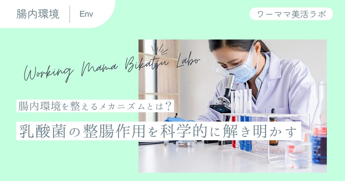腸内環境を整えるメカニズムとは？乳酸菌の整腸作用を科学的に解き明かす