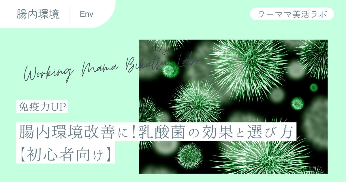 【免疫力UP】腸内環境改善に！乳酸菌の効果と選び方【初心者向け】