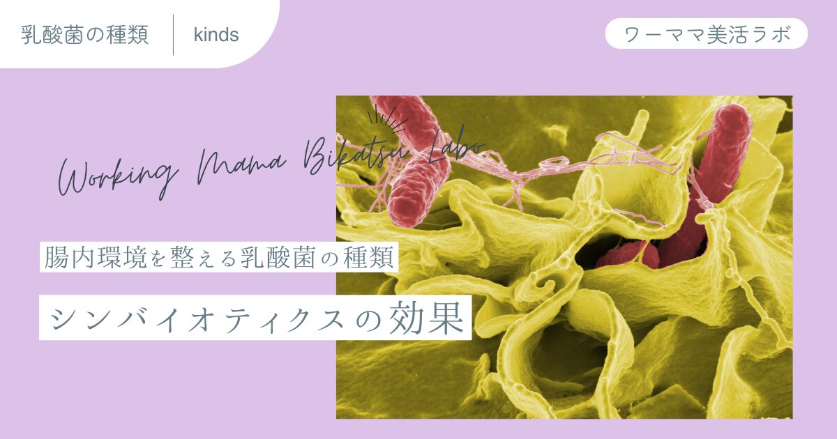 腸内環境を整える乳酸菌の種類【シンバイオティクスの効果】