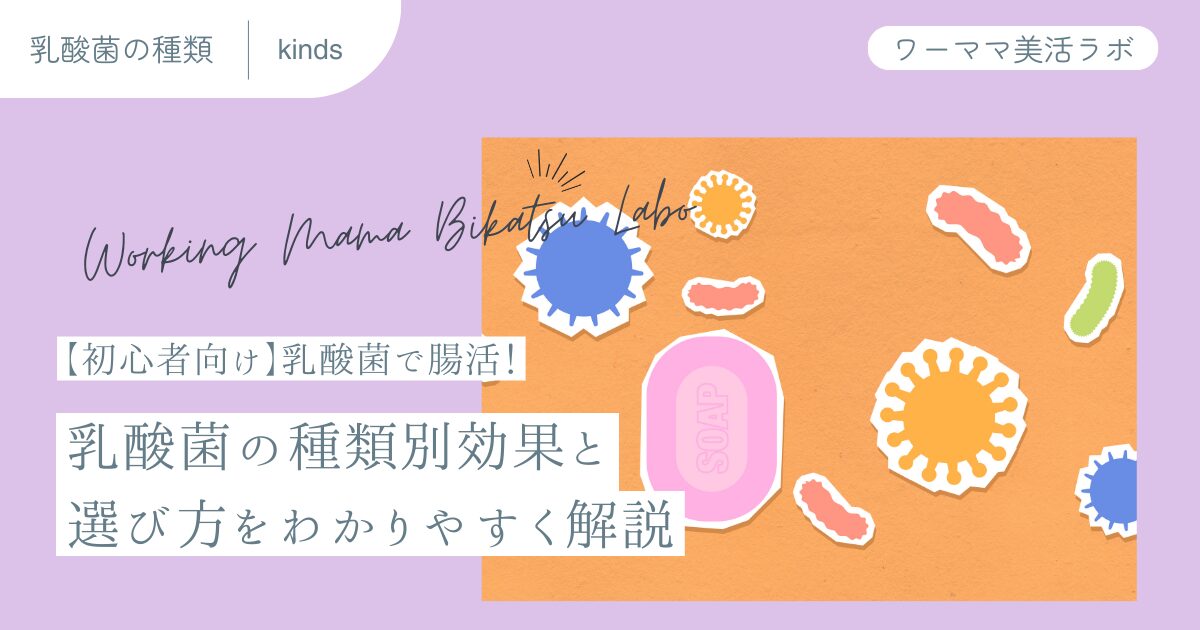 【初心者向け】乳酸菌で腸活！乳酸菌の種類別効果と選び方をわかりやすく解説