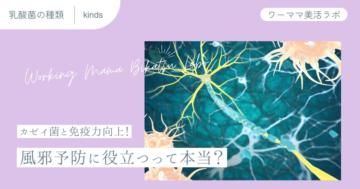 カゼイ菌と免疫力向上！風邪予防に役立つって本当？