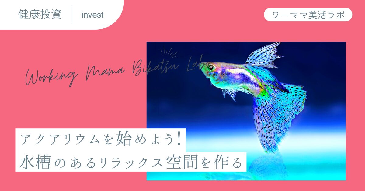 アクアリウムを始めよう！水槽のあるリラックス空間を作る