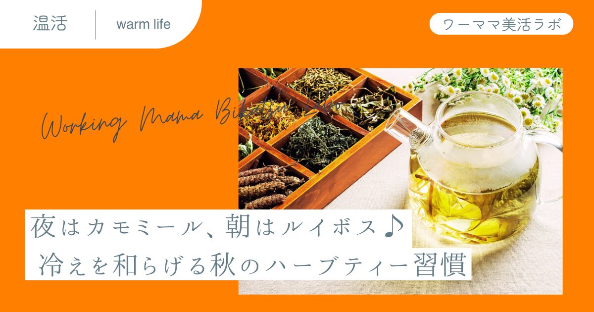 夜はカモミール、朝はルイボス♪ 冷えを和らげる秋のハーブティー習慣